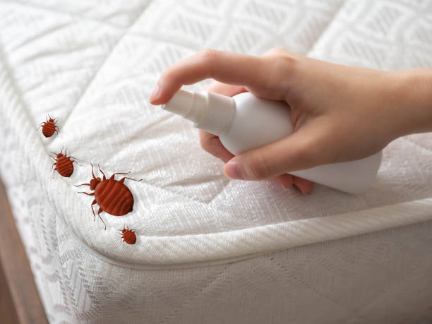 Best Bed Bug Extermination  in Pomeroy, WA